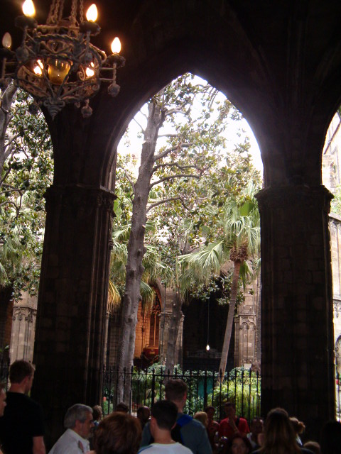 458x617 pixels (114K)