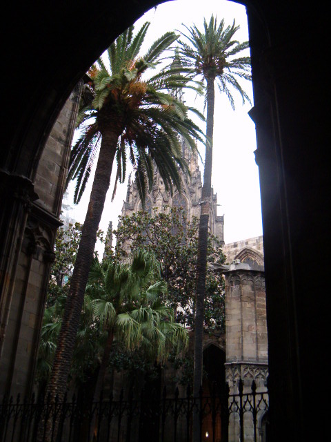 458x617 pixels (106K)