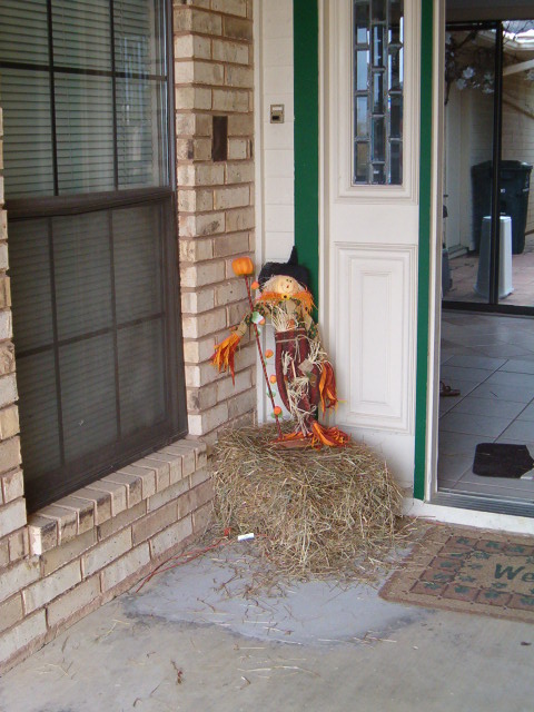 458x617 pixels (108K)