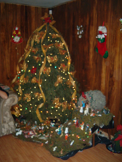 458x617 pixels (126K)