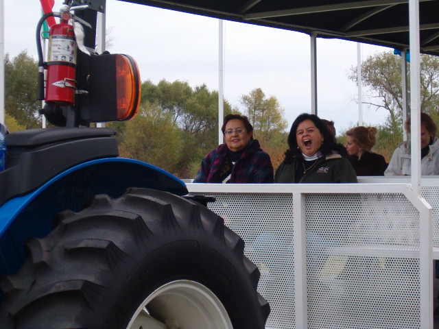 618x457 pixels (107K)