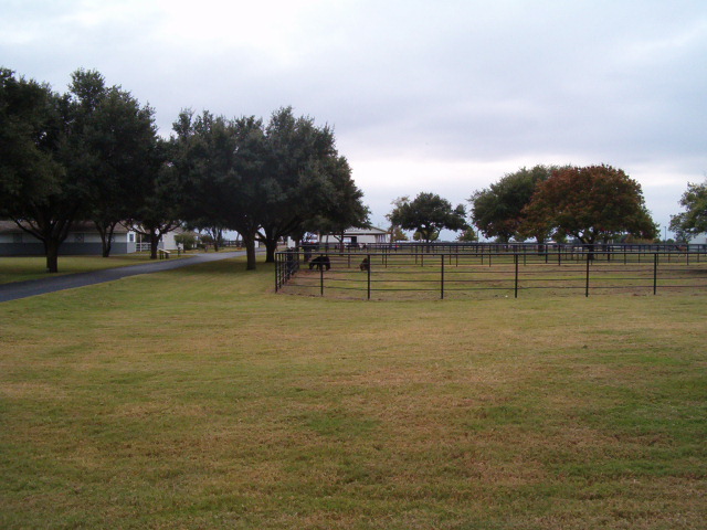 618x457 pixels (116K)