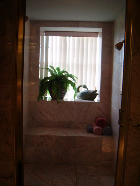 458x617 pixels (109K)