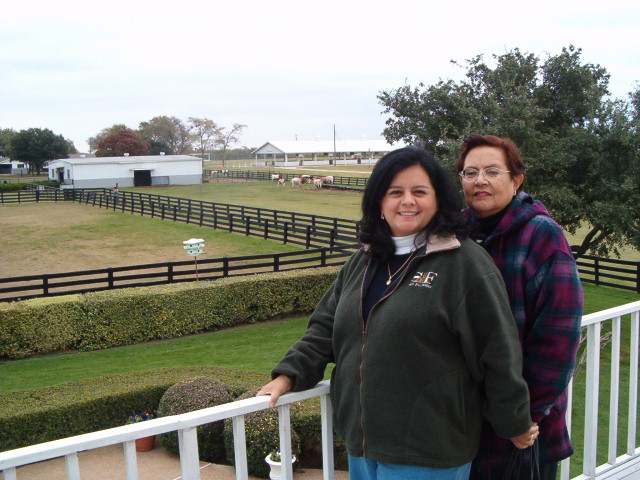 618x457 pixels (117K)