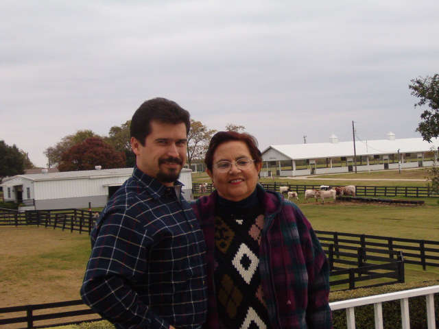 618x457 pixels (126K)