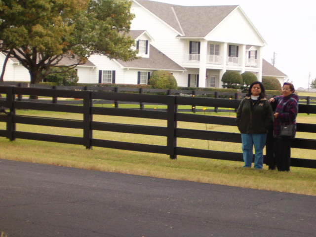 618x457 pixels (133K)