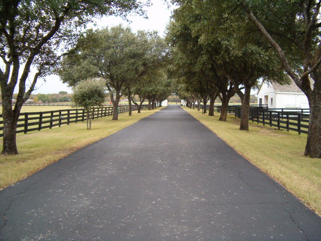 618x457 pixels (121K)