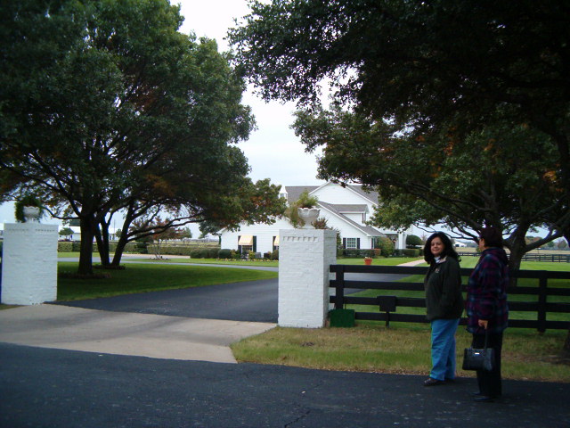 618x457 pixels (116K)