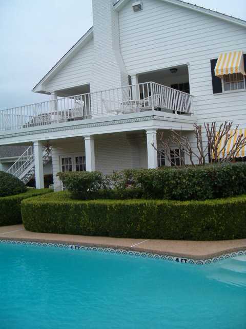 458x617 pixels (105K)