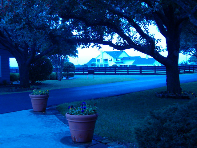 618x457 pixels (125K)