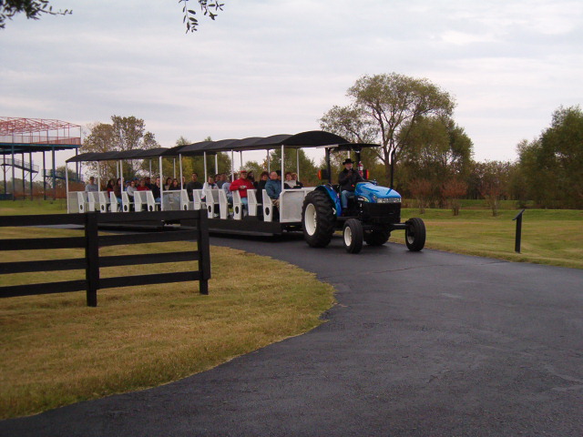 618x457 pixels (109K)