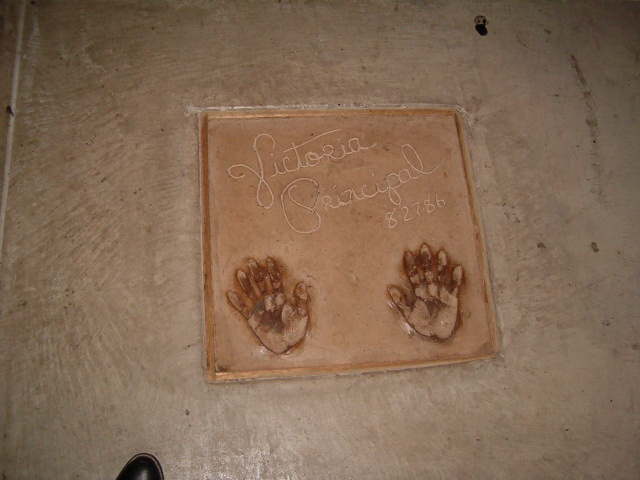 618x457 pixels (110K)