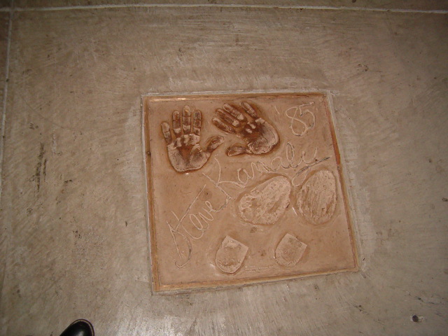 618x457 pixels (110K)