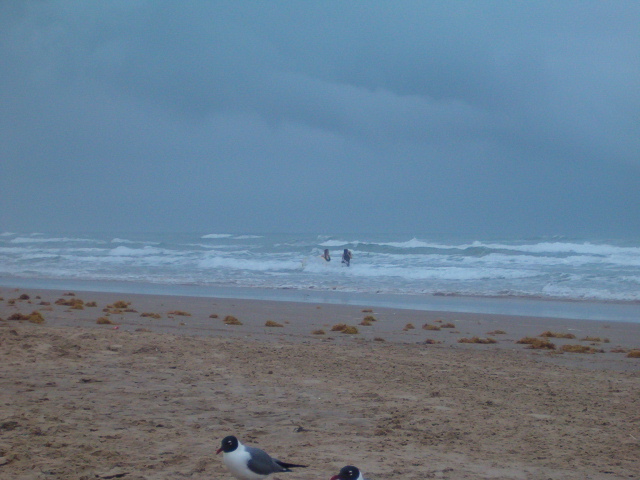 618x457 pixels (129K)