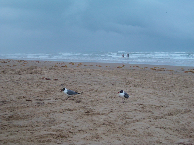 618x457 pixels (120K)