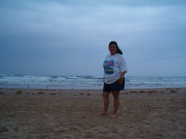 618x457 pixels (131K)