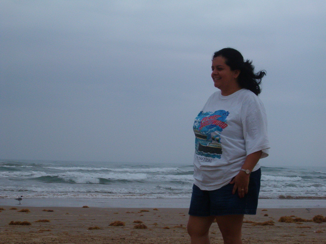 618x457 pixels (165K)