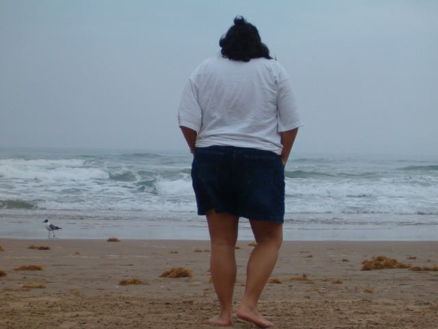 618x457 pixels (167K)