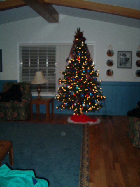 458x617 pixels (105K)