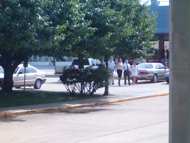 618x457 pixels (128K)