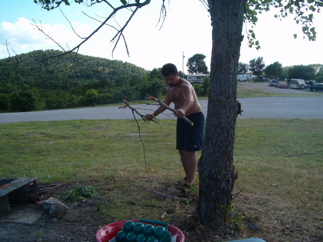 618x457 pixels (118K)