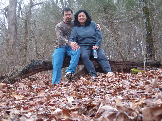 618x457 pixels (130K)