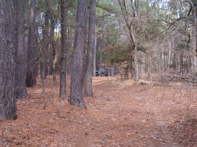 618x457 pixels (129K)