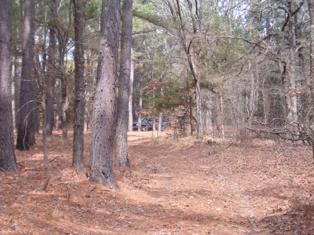 618x457 pixels (127K)