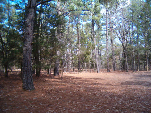 618x457 pixels (132K)