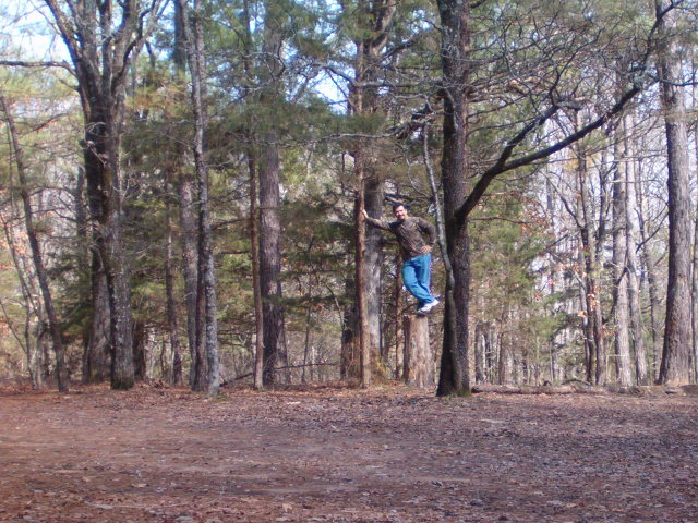 618x457 pixels (131K)