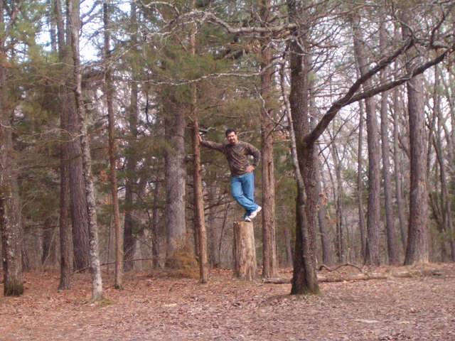 618x457 pixels (129K)