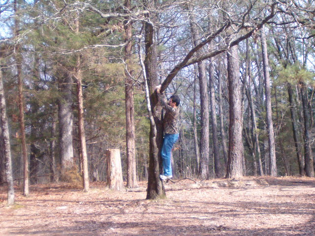 618x457 pixels (134K)