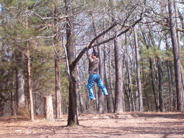 618x457 pixels (131K)