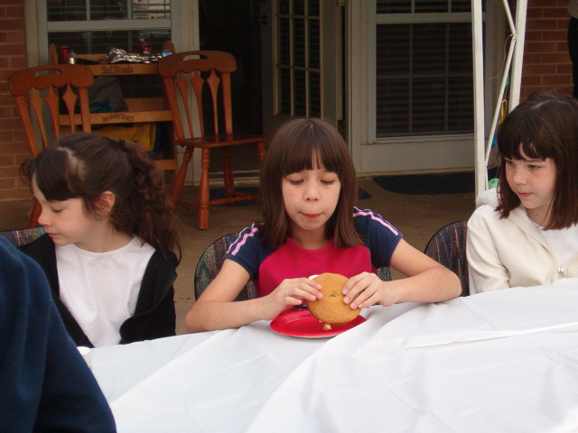 618x457 pixels (113K)