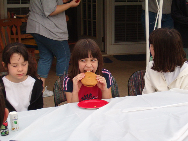 618x457 pixels (118K)