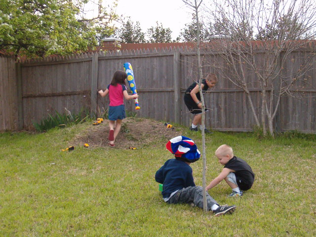 618x457 pixels (124K)