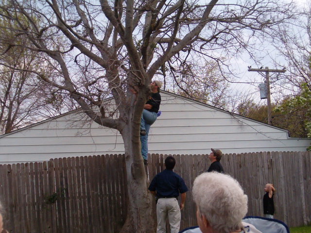 618x457 pixels (116K)