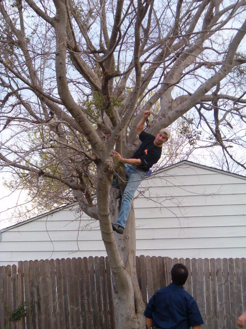 458x617 pixels (114K)