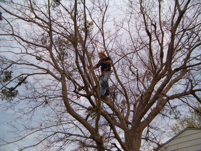 618x457 pixels (130K)