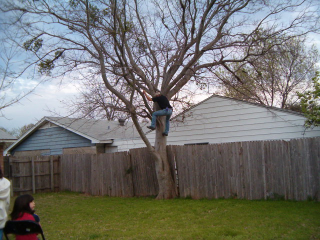 618x457 pixels (118K)