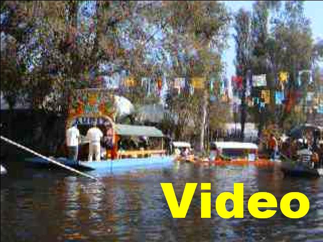 619x457 pixels (70K)