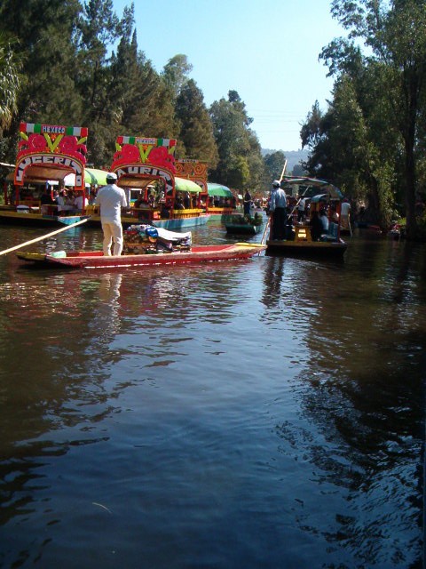 458x617 pixels (98K)