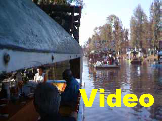 619x457 pixels (40K)