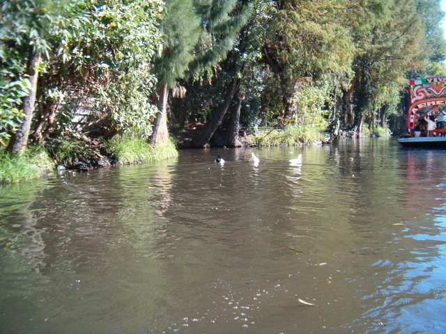 618x457 pixels (130K)