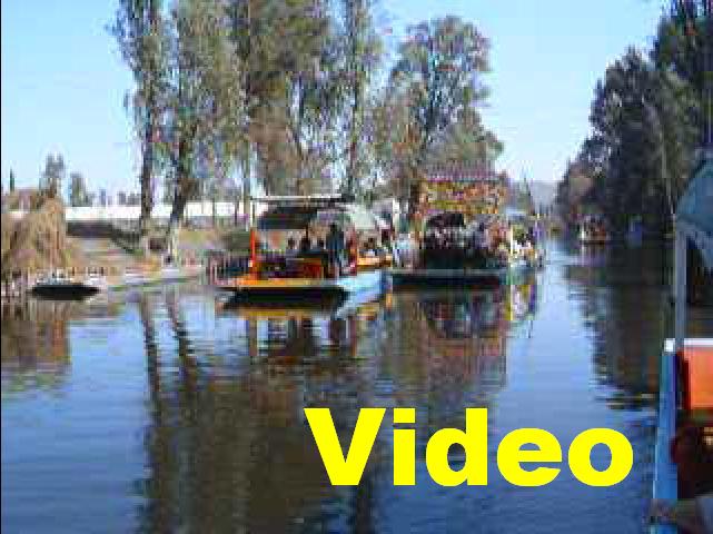 619x457 pixels (53K)