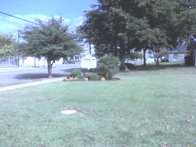 617x456 pixels (33K)