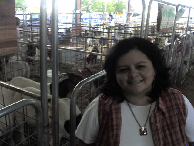 617x456 pixels (33K)