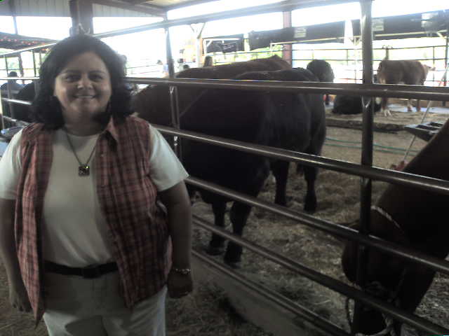 617x456 pixels (30K)