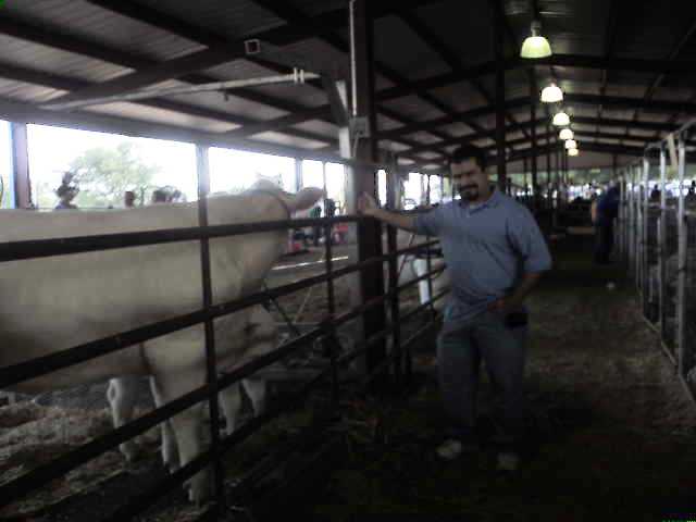 617x456 pixels (22K)