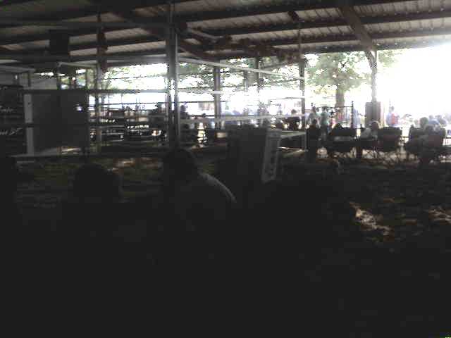 617x456 pixels (21K)